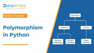 Understanding Polymorphism in Python with Practical Examples