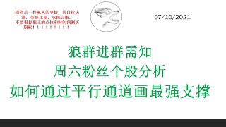 狼群进群需知 周六粉丝个股分析 如何通过平行通道画最强支撑