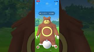 ポケモンgo 野生のリングマゲットチャレンジ