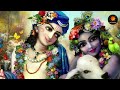 who are lord gauranga and lord nityananda who are gaur nitai