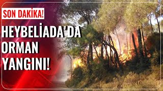 Heybeliada'da Yangın Devam Ediyor! | Hafta Sonu Haber | 12.07.2020