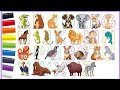 ABC learning for toddlers | Animals & Phonics | ALPHABET