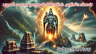 பழனிமலை முருகன் கோவில் அதிசயங்கள் | Palani Murugan Temple