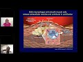 asnc virtual cv molecular imaging seminars vascular calcification