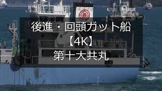 後進・回頭ガット船【4K】第十大共丸