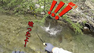 まさか喰うとは⁈【銀山平釣行vol.10】