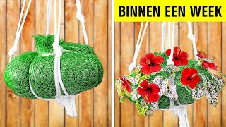 Fantastische tuinier hacks! Eenvoudige tips voor een bloeiende tuin