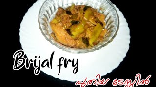 Brinjal Fry /വഴുതനങ്ങ ഇഷ്ടമല്ലാത്തവർ പോലും കഴിക്കും ഇങ്ങനെ ഫ്രൈ ചെയ്താൽ @achluz