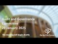 audit and governance committee 29 jan 2025