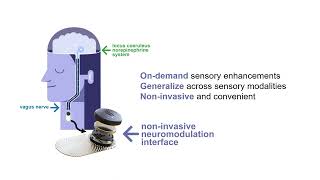 BCI Award 2023 Nomination - A Non-invasive neuromodulation interface