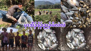 ပှၤအီၣ်နိၣ်နိၤဘိလံညၣ်ဖိလဲလဲအီၣ်သကိး