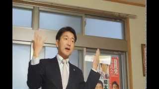 二重行政は無いような状態 －柳本顕大阪市議－