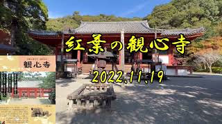 紅葉の観心寺 2022.11.19