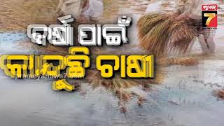 Special Story | ବର୍ଷା ପାଇଁ କାନ୍ଦୁଛି ଚାଷୀ | PrameyaNews7