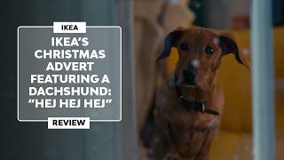 ▷ The SWEET IKEA CHRISTMAS ADVERT starring a DACHSHUND [2024] | \