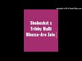 Shebeshxt x Tribby WaĐi BhoZza-Are Zole (Original Audio)