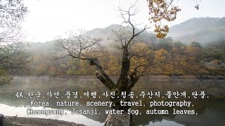 청송,주산지,물안개,단풍,Cheongsong, Jusanji, water fog, autumn leaves,