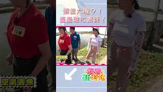 蝦籃大膽？！籃籃裝忙實錄！      【#綜藝新時代】#shorts  @FTV_Show