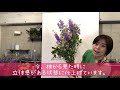 【花束・ブーケ作り】 花のある暮らし 花vlog＃16 『色のグラデーションを楽しむ花束 bouquet』