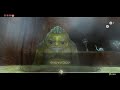 ゼルダの伝説トワイライトプリンセスhd　＃10【デスマウンテン】　the legend of zelda twilight princess hd