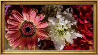 Flower Field 4K TV Ambiance