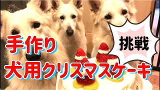 犬用クリスマスケーキを作ります！食べるのは明日やねん…