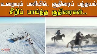 மைனஸ் 30 டிகிரி குளிரில் குதிரை பந்தயம் ...சீறிப் பாயும் குதிரைகள்