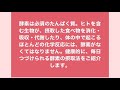 最強のタンパク質【酵素】の手軽な摂取法とは？　血流と自律神経の専門治療院　大阪市中央区　鍼灸整体院したらパーソナルケア