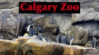 A Day in CALGARY ZOO / Calgary Alberta / Jovelyn Vlogs