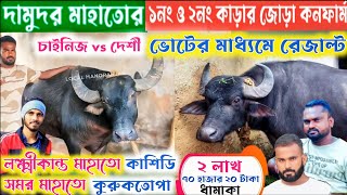 চিপিংডি/দামোদর মাহাতোর আসরে ১ নং ও ২ নম্বর কাড়ার জোড়া কনফার্ম ! ভোটের মাধ্যমে জোড়া হলো !Chipingdih