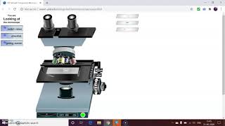 Virtual Microscope Walkthrough