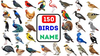 Birds Vocabulary | 150 Birds Name in English with Pictures l Birds Name \u0026 Sound | English Vocabulary