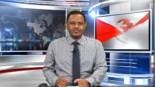 ዕለታዊ ዜና - TMH - 08-11-22