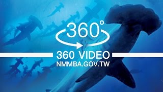 Waters of the World - Exploration of Dr. Shark (VR 360 video of NMMBA)