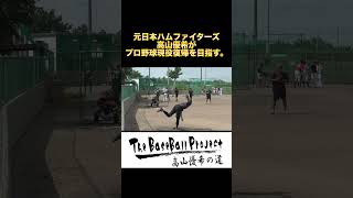 【トライアウトへの道】元日本ハムファイターズ高山優希がNPB復帰を目指す。#shorts #トライアウト #プロ野球 #堺シュライクス #日ハム  #大阪桐蔭