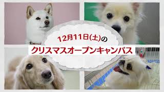 穴吹動物看護カレッジ　12月11日　オープンキャンパス紹介