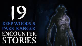 19 SCARY STORIES OF DEEP WOODS AND PARK RANGER STORIES