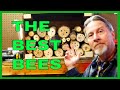 Why You Need a Bee Hotel (& How to Make It)