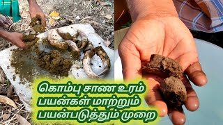 கொம்பு சாண உரம் பயன்கள் மற்றும் பயன்படுத்தும் முறை | ORGANIC FERTILIZER | TAMIL | ATHI TAMIZHAN