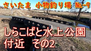 さいたま 小物釣り場  No.-9 しらこばと水上公園周辺　その2