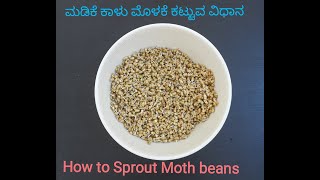 ಮಡಿಕೆ ಕಾಳು ಮೊಳಕೆ ಕಟ್ಟುವ ವಿಧಾನ | Method to Sprout Moth beans