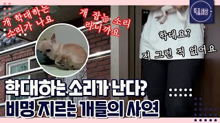 [FULL영상] 개 잡는 소리가 난다는 여자의 집! 비명 지르는 개들의 사연은?!