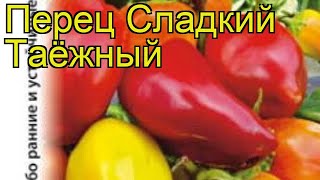 Перец сладкий Таёжный. Краткий обзор, описание характеристик, где купить семена cápsicum ánnuum