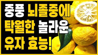 유자 효능,유자 부작용 (중풍 예방 음식, 뇌졸중 예방 음식,중풍 민간요법)