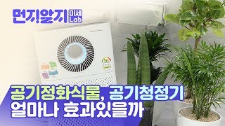 [미세 Lab] 미세먼지 없애려고 공기정화식물🌼 사려던 사람, 여기 주목!!✊✊✊