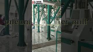 120 tons per day maize mill machine