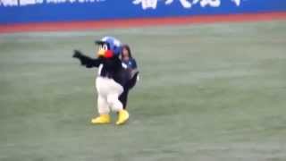 2013年05月26日 東京ヤクルトスワローズvs福岡ソフトバンクホークス つば九郎ダンス