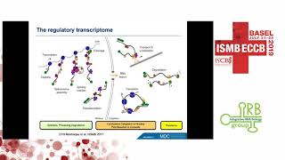 Computational approaches to dissect post-transcriptional gene... - Uwe Ohler - IRB - ISMB/ECCB 2019