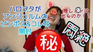 【ハロプロ】アンジュルムさんのランダム写真開封したら語彙を喪失したアイドル【開封動画】