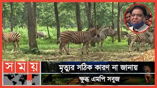 বঙ্গবন্ধু সাফারি পার্কে বাঘসহ ১১ প্রাণির মৃত্যু | Bangabandhu Safari Park | Gazipur News | Somoy TV